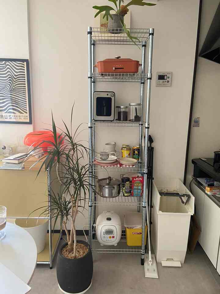 私のモチベと折りたたみ傘のケースは何処へ。😇

#interior #midcentury #midcenturymodern 
#marketb#lowya #ikea #bauhouse #1dk 
 #インテリア #リビング #生活感のある暮らし 
#ミッドセンチュリー #ミッドセンチュリーモダン 
#テレワーク #在宅勤務 #在宅ワーク#一人暮らし#ひとり暮らし