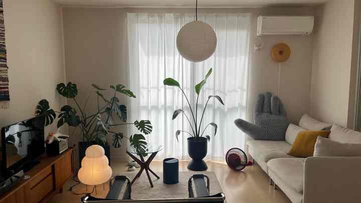 白と木目調のワンルームリビング、中央にペンダントライトと植物が配置されたナチュラルでモダンな空間