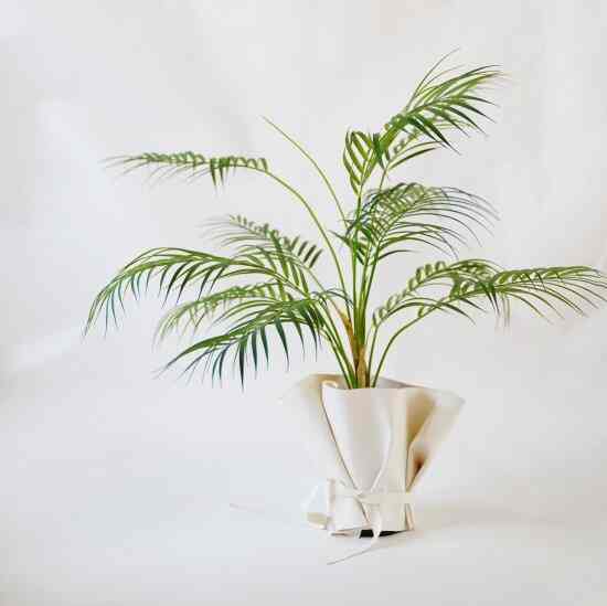 フェイクパームツリーとラッピングレザーカバーセット