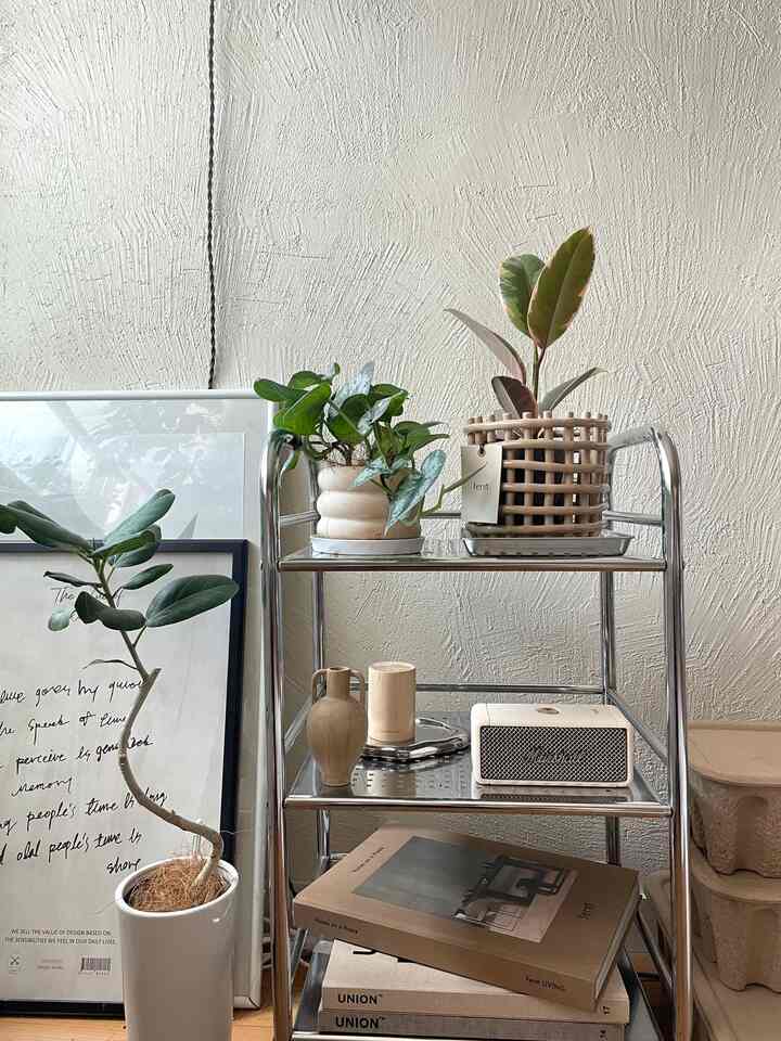 カラフルも好きだけど、落ち着いたカラーも好き。シルバー✖️ベージュでまとめたコーナー。
最近ferm livingのセラミックバスケットに合わせて植物🪴買い足しました。
#観葉植物 #植物インテリア #植物棚 #1LDK #インテリア #インテリア配色 #北欧インテリア #韓国インテリア #スチールラック #fermLIVING #ポスター  