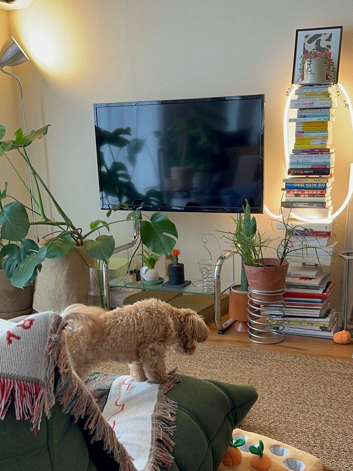 short form carousel card thumbnail