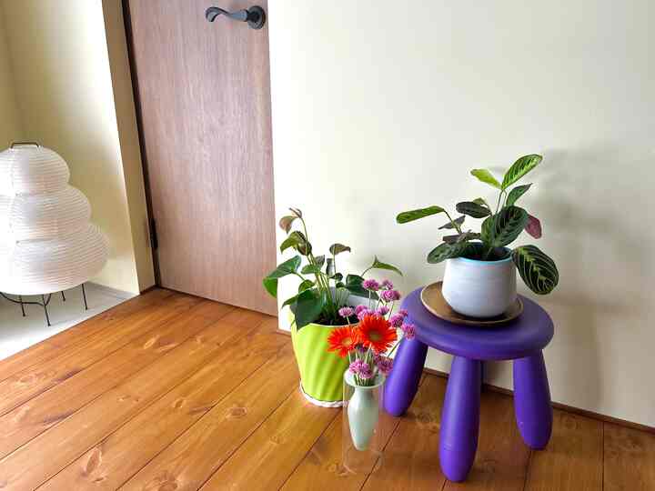 ブラウンの無垢材の床と緑の植物が配置されたシンプルなリビングの一角