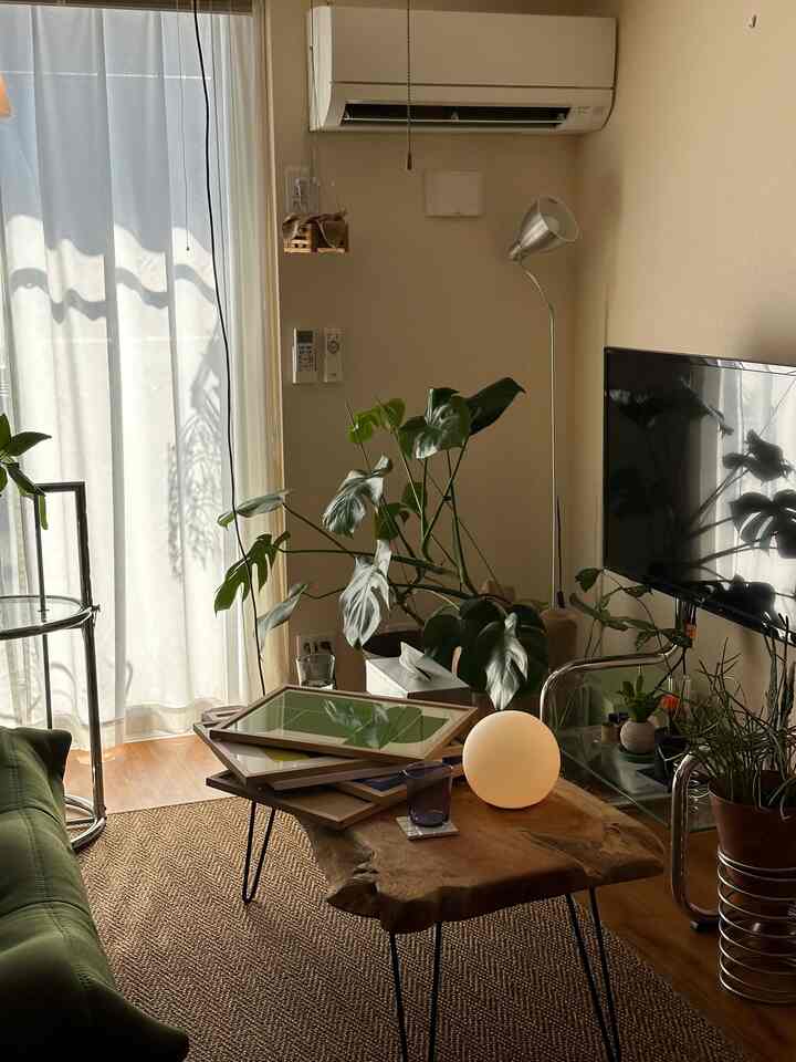 Natural wood tones and green accents in a living room, featuring a wooden coffee table on a rug with plants arranged for a cozy atmosphere