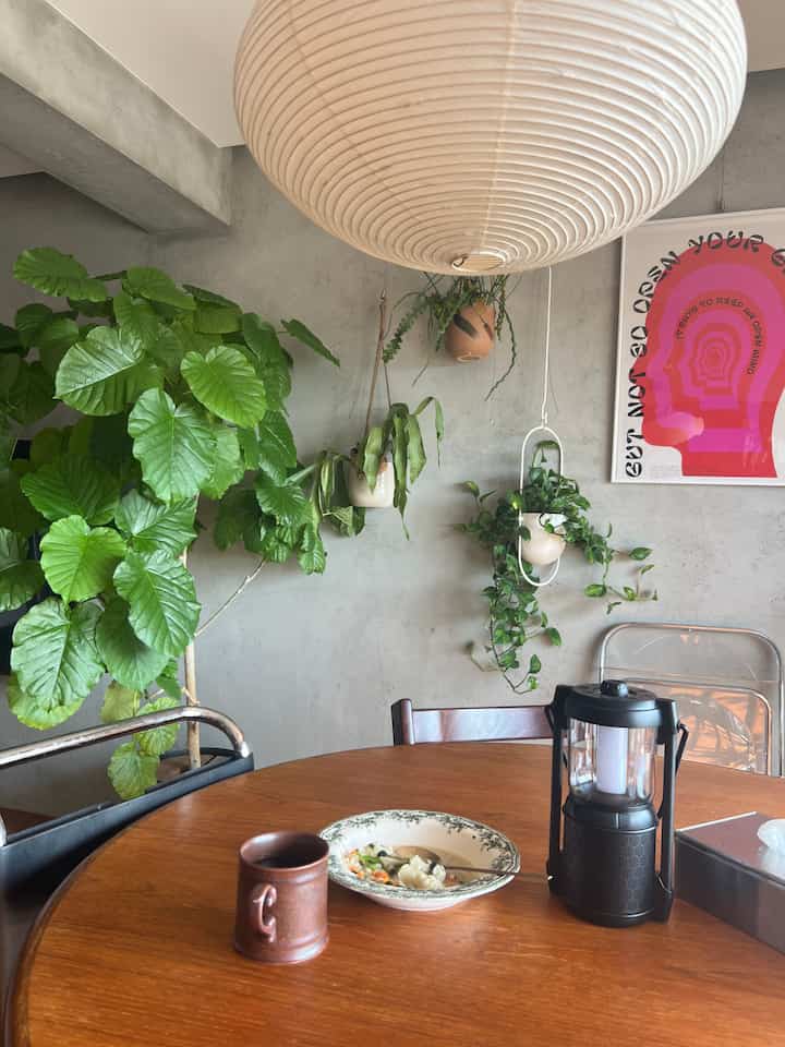 Mid-Century Modern dining space featuring natural wood tones, concrete wall, and vibrant green plants creating a fresh atmosphere
