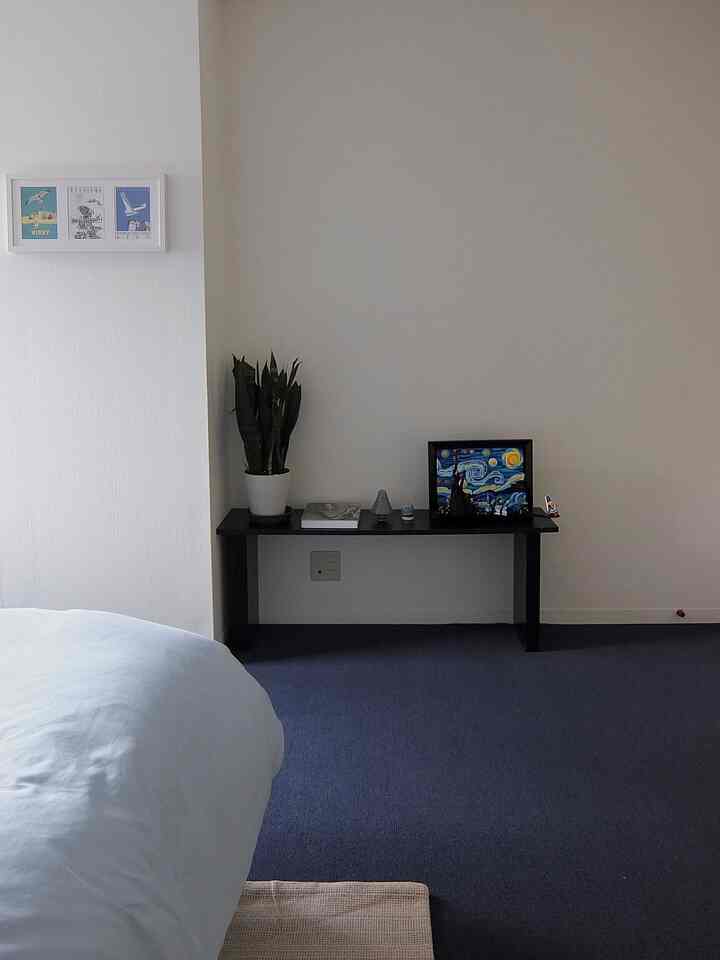 Navy carpeted living room featuring a black bench and a plant, styled with a hotel-like atmosphere