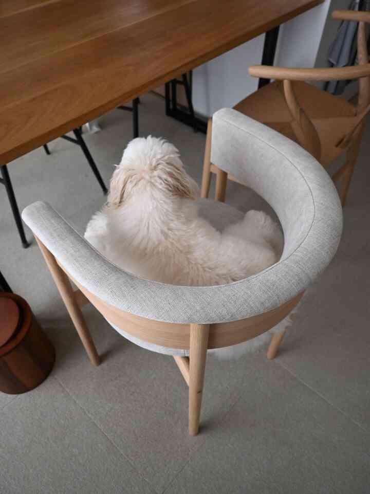 Natural color and wood tone dining room featuring a cozy dining chair with a fluffy dog resting, creating a warm atmosphere
