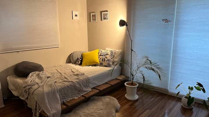 Warm beige and brown toned living room featuring a bed with indirect lighting, a floor lamp, and plants creating a cozy atmosphere