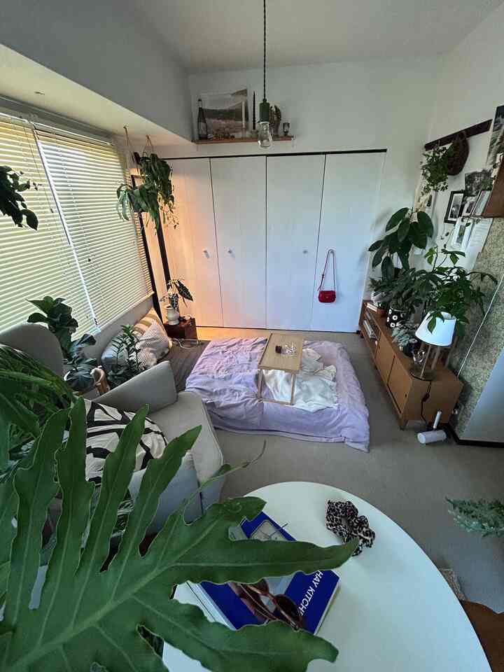 部屋全体🏡
この画角初かな？
　　
　　
#部屋作り
#観葉植物 
#インテリア雑貨
#IKEA 