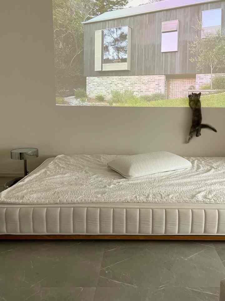 #猫がいる暮らし #猫インテリア #猫と家 