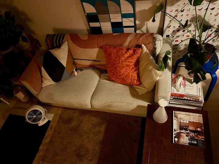 Beige and brown tone living room featuring a sofa with patterned cushions and large indoor plant creating a cozy atmosphere