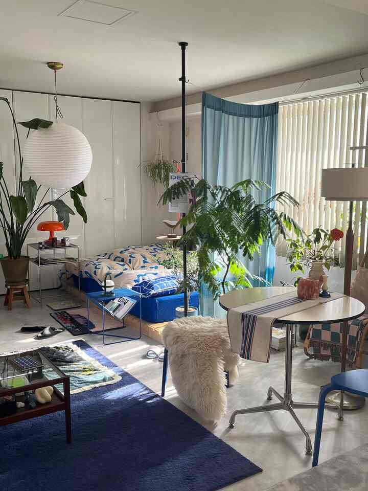 White background and blue rug with curtains in a natural modern living and bedroom space for single household