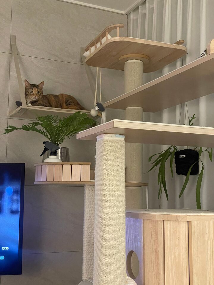 short form carousel card thumbnail