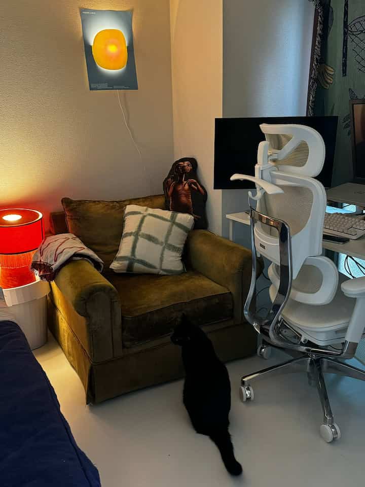 Small single household space featuring olive green armchair and white home office setup with a black cat sitting on floor
