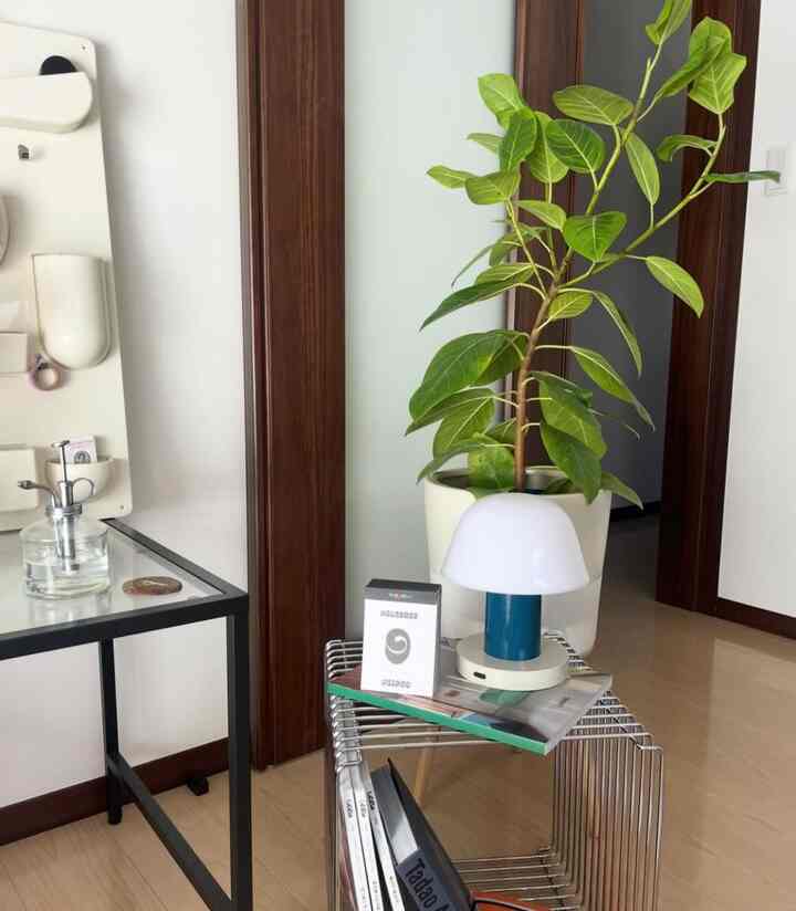 ホワイトとブラウンのトーンの玄関、メタル製のサイドテーブルの上に白いテーブルランプと緑の植物が配置された清潔感のあるインテリア