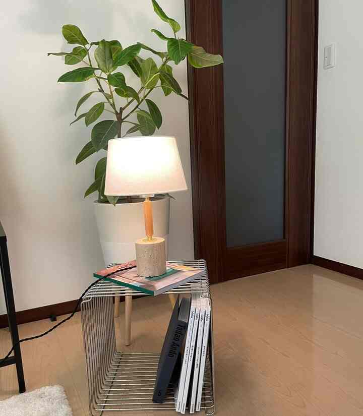 白い壁と木目調の扉がある玄関スペース、金属のサイドテーブルにテーブルランプと植物が配置された雰囲気のあるインテリア