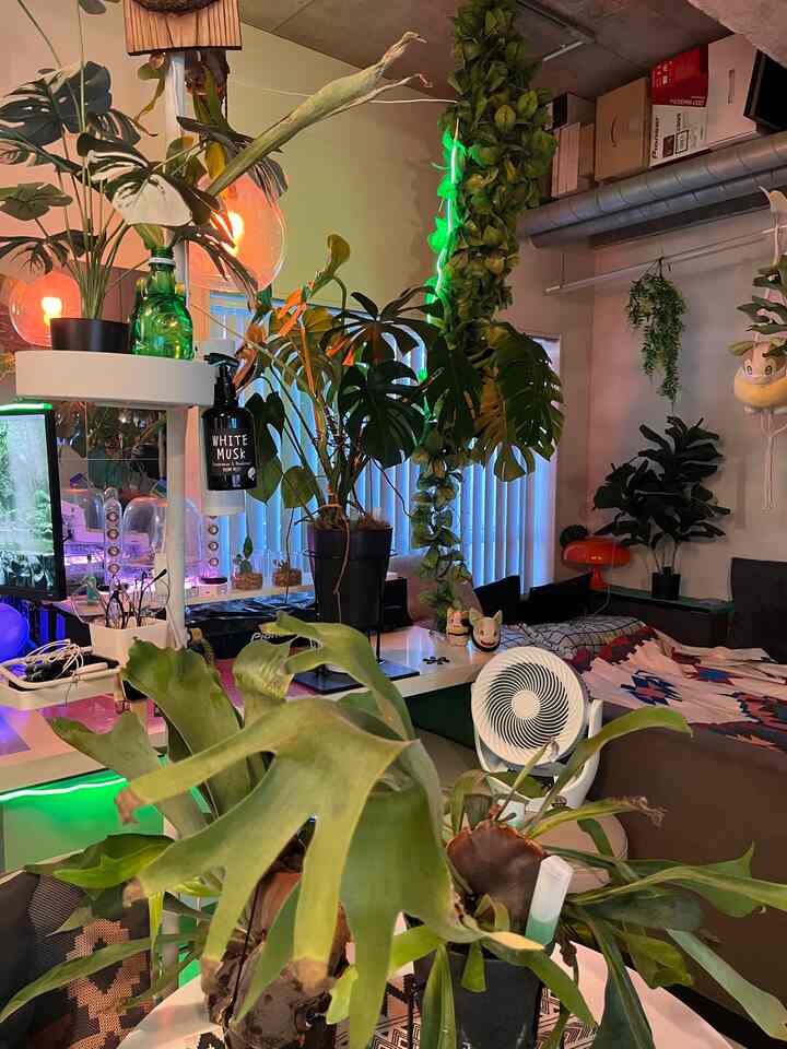 ナチュラルカラーの植物が豊富な狭いリビング、ペンダントライトとソファが配置された落ち着いた空間