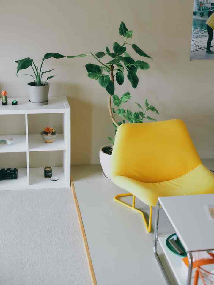 Living room in white and yellow tones featuring plants, shelving unit, and armchair arranged neatly