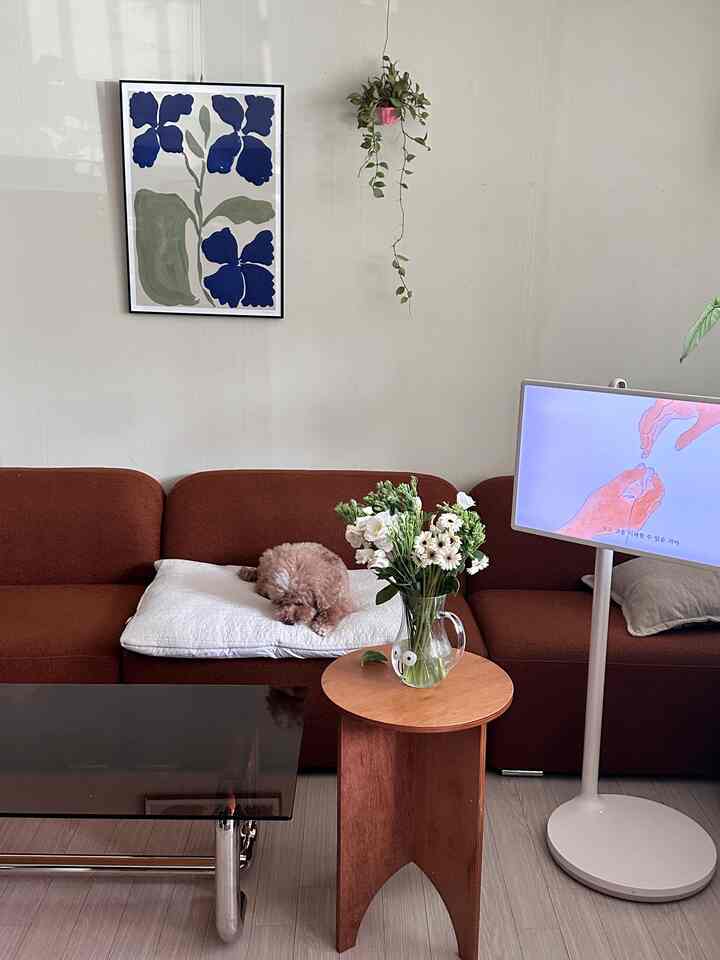 ブラウンのソファと木製サイドテーブルがあるナチュラルな色調のリビング、中央に白いクッションに寝る犬がいる