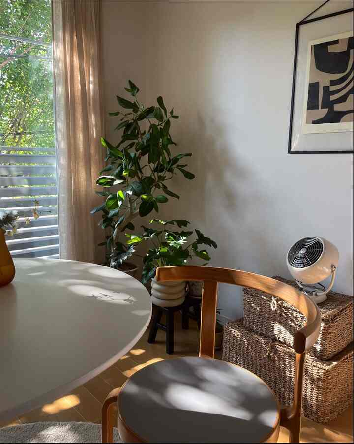 先日購入したクッカバラというグリーンが可愛く、見ていると元気をもらえます🪴🤍

ACTUSで購入したぽこぽこしたプラントカバーもお気に入りです。

#プラントカバー #クッカバラ #観葉植物 #インドアグリーン