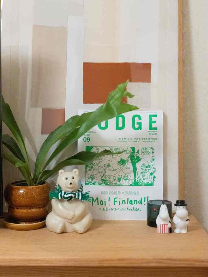 フィンランド大好き。北欧ディスプレイ🇫🇮
#北欧 #北欧雑貨