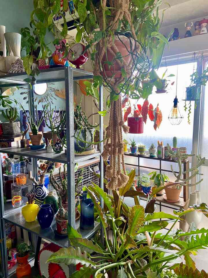 A natural mid-century modern corner filled with abundant green leafy plants and vintage decorative objects