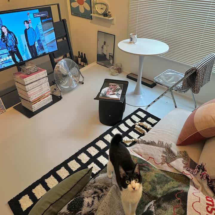 白い床とモダンな家具が配置された小さなリビング、中央に猫がいる雰囲気のあるインテリア