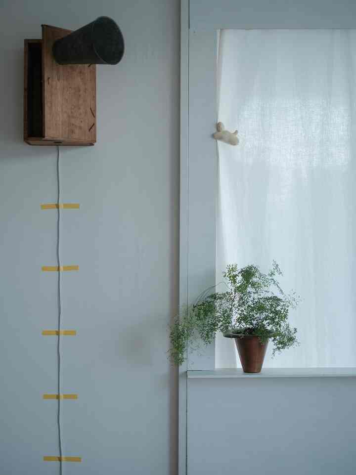 アジアンタムを飼い始めました。大切に育てたい。

#インテリア #植物 #アジアンタム