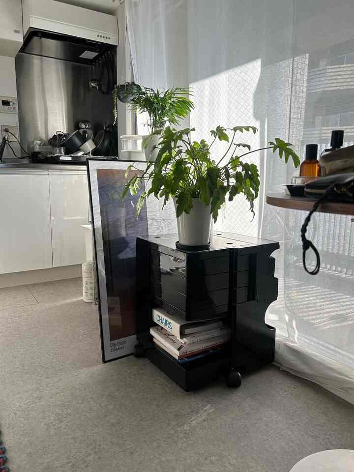A white and black toned studio apartment kitchen space featuring a Boby trolley with a plant, creating a cozy and compact interior