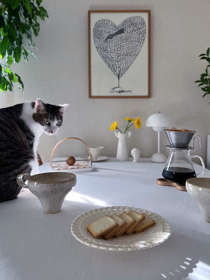 猫さんめっちゃ見てる。
名古屋土産の小倉トーストラングドシャ初めて食べたけど美味しかった😋
マグカップは鈴木麻起子さん、
器はアンティークのパニエプレート。

#スイーツ #おうちカフェ #カフェ #カフェ雰囲気 #おうち時間 #お家スイーツ #カフェインテリア #テーブルフォト #テーブル周り #テーブルインテリア #テーブルウェア 