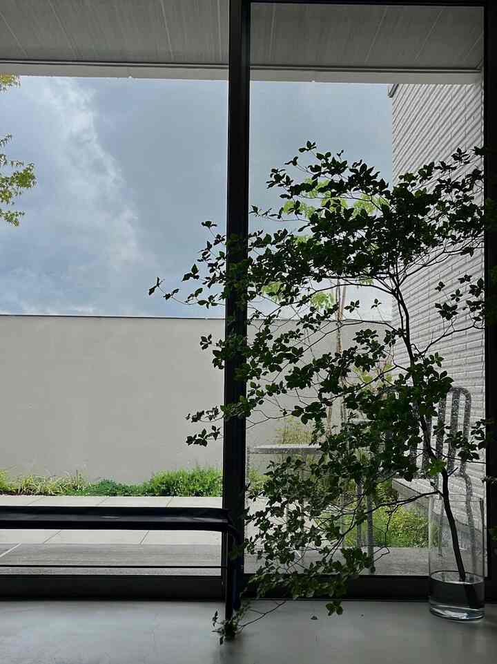 I got a new folding bench 🪑
The bench was very useful this summer 🫶
.
.
#snowpeak
