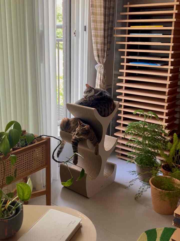 ナチュラルな色調のリビング、窓辺にキャットタワーと2匹の猫がいる居心地の良い空間