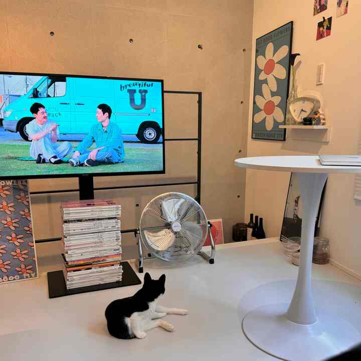 白とグレーの色調のリビング、猫と扇風機が配置されたシンプルな雰囲気のインテリア