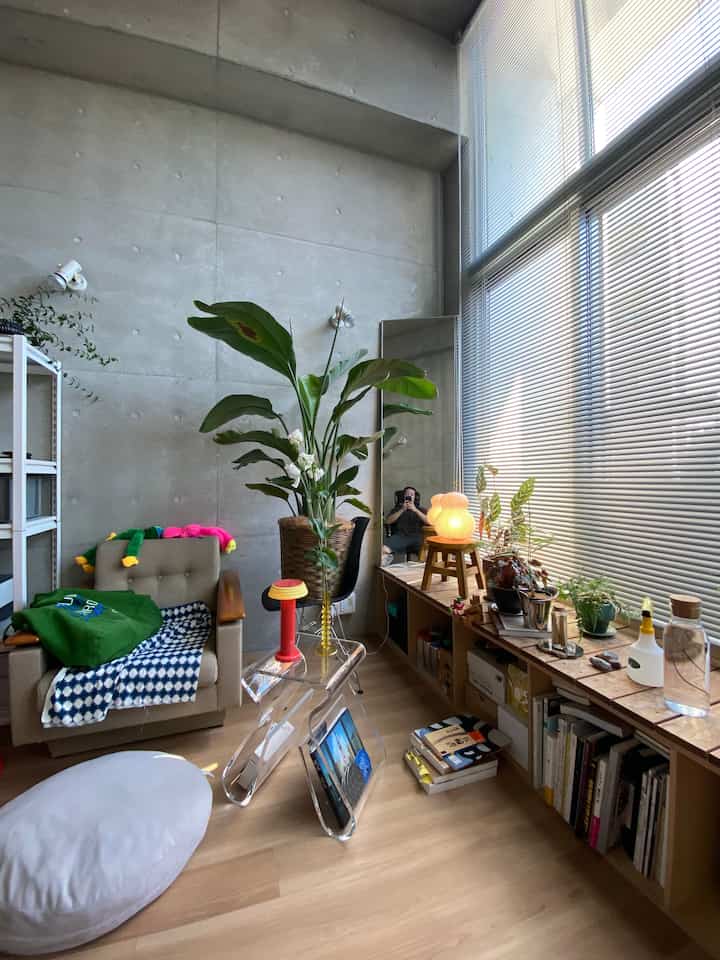 Natural tone living room featuring acrylic table and plants with modern and cozy atmosphere