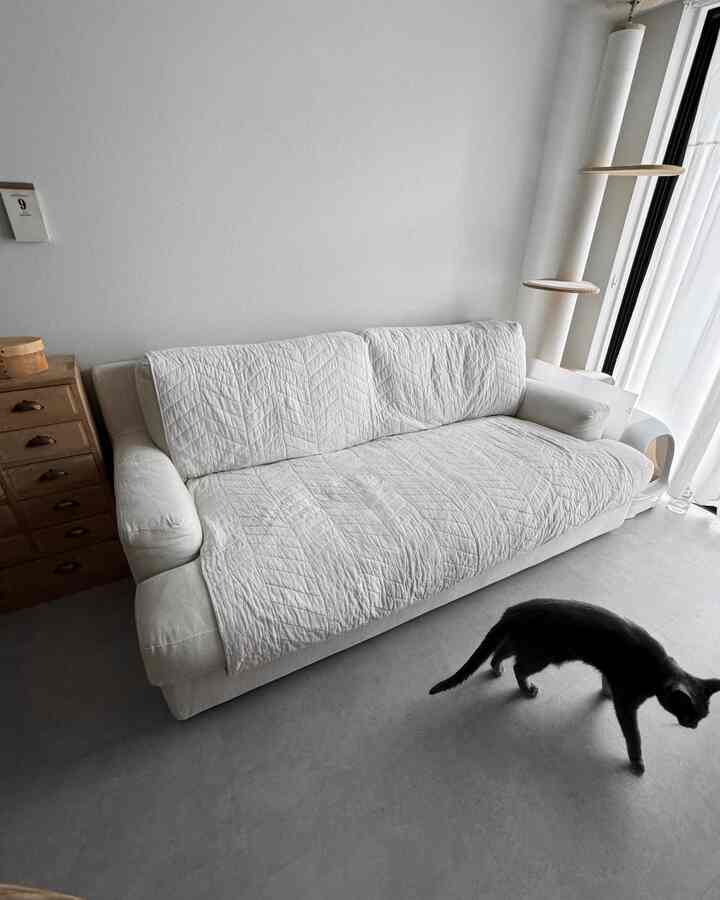 グレーと白を基調としたリビング、猫とソファカバーが配置されたモダンで自然な雰囲気のインテリア