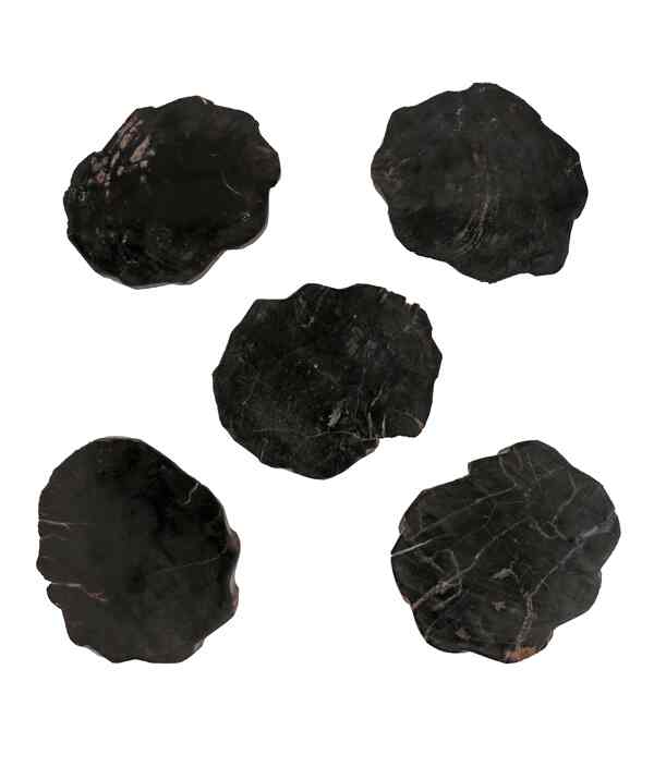 WOOD COASTER / Black コースター