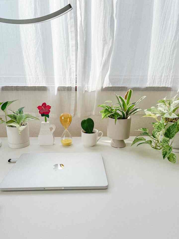 植物に囲まれた癒しデスク🪴
3年目にしてハートホヤから新芽が…！窓際の日当たり良い場所で成長を見守ります🍃

#デスク周り #観葉植物 #ハートホヤ #ポトス