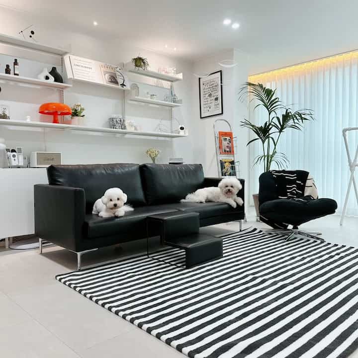 Black and white toned living room featuring a black leather sofa with two white dogs and a black striped rug in a modern interior space
