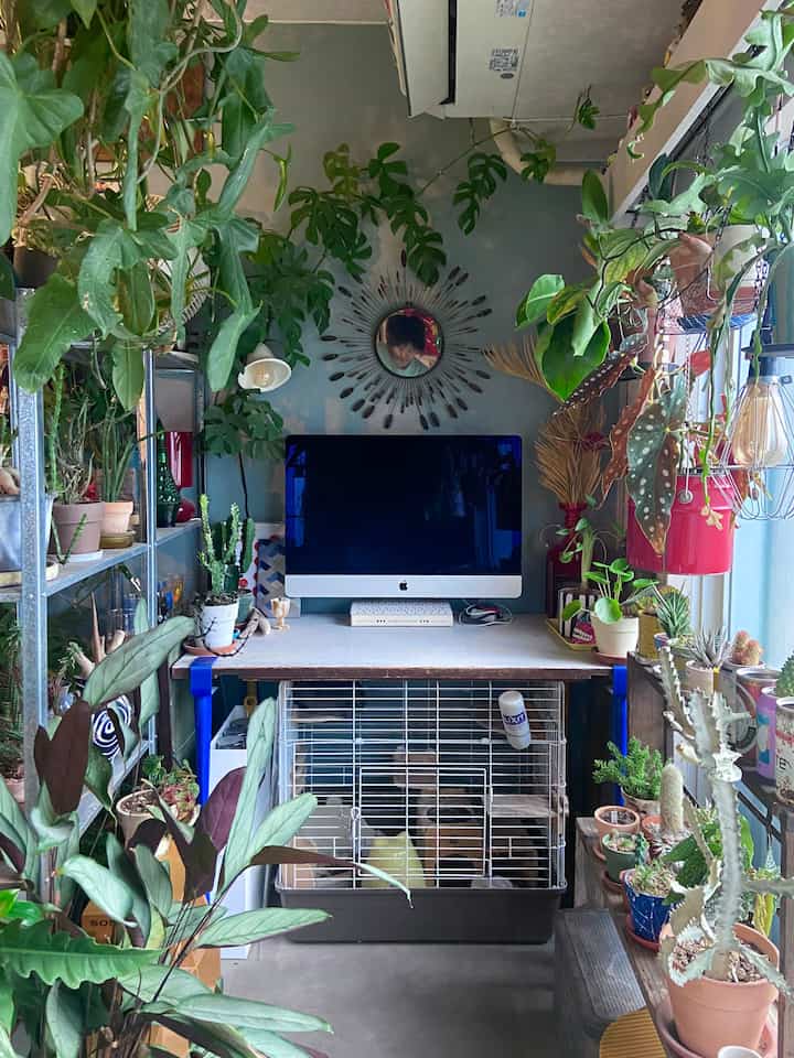 Green-toned compact home office space featuring shelves, desk, and abundant indoor plants creating a cozy multipurpose room