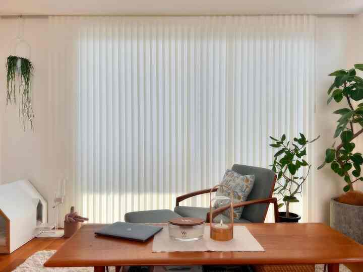 A natural modern living room with white vertical blinds and wood-tone furniture, featuring a comfortable space for living with a dog