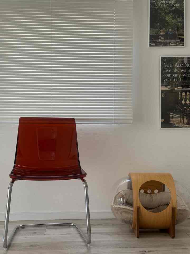 ホワイトトーンのミニマルな空間、透明な赤い椅子と木製の猫用ベッドが配置された落ち着いたインテリア