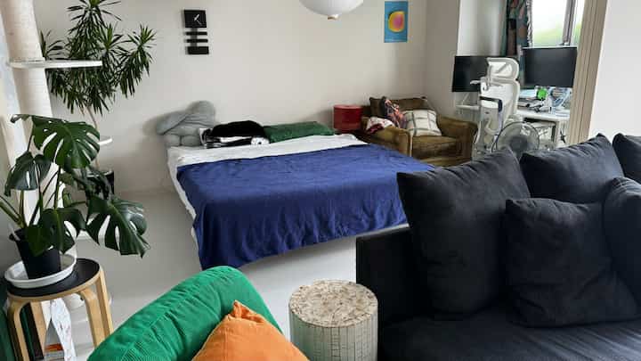 青いブランケットがかかった寝室、右側にホームオフィスのデスク、左側に植物とキャットタワーが配置された印象的な空間