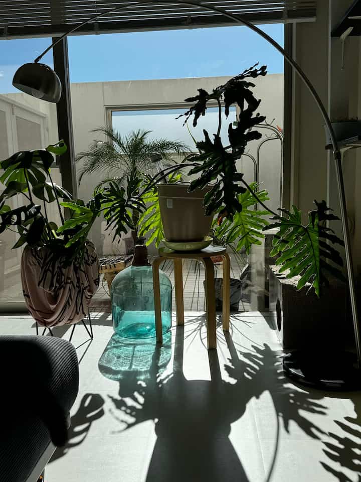 Bright natural light fills a natural interior space adjacent to a balcony, featuring green plants on a wooden stool and a large transparent glass bottle