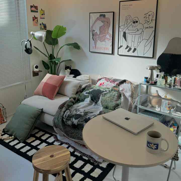 A modern white and black living room for a single occupant, featuring a cat on the sofa and a cozy workspace