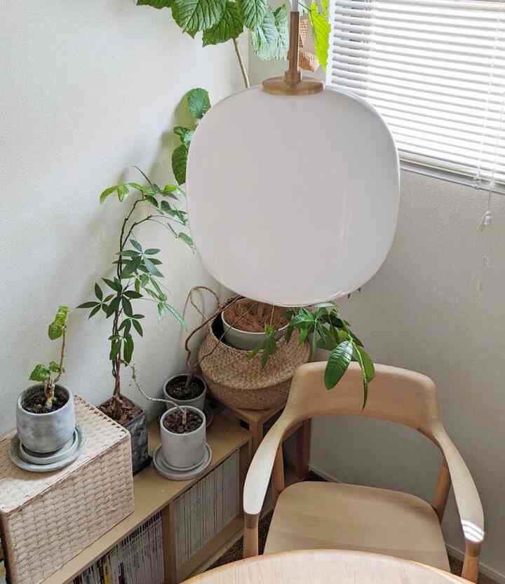 暑すぎて植物の元気が😅

#louispoulsen #ルイスポールセン #vl45 #ラジオハウスペンダント #マルニ木工 #ヒロシマアームチェア #深澤直人