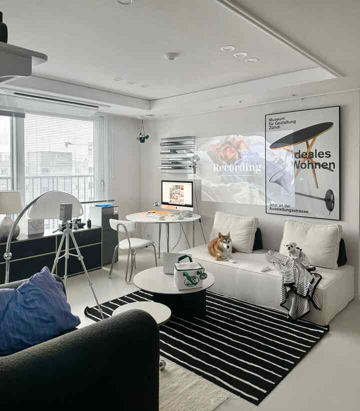 白と黒のトーンのモダンなリビング、ソファと机に犬が座り、壁にポスターがプロジェクターで映されている雰囲気のある空間