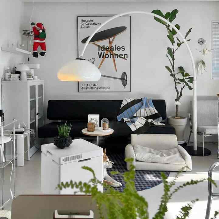 モダンな白黒トーンのリビング、黒いソファとペットベッドが配置されたシンプルな印象的な空間