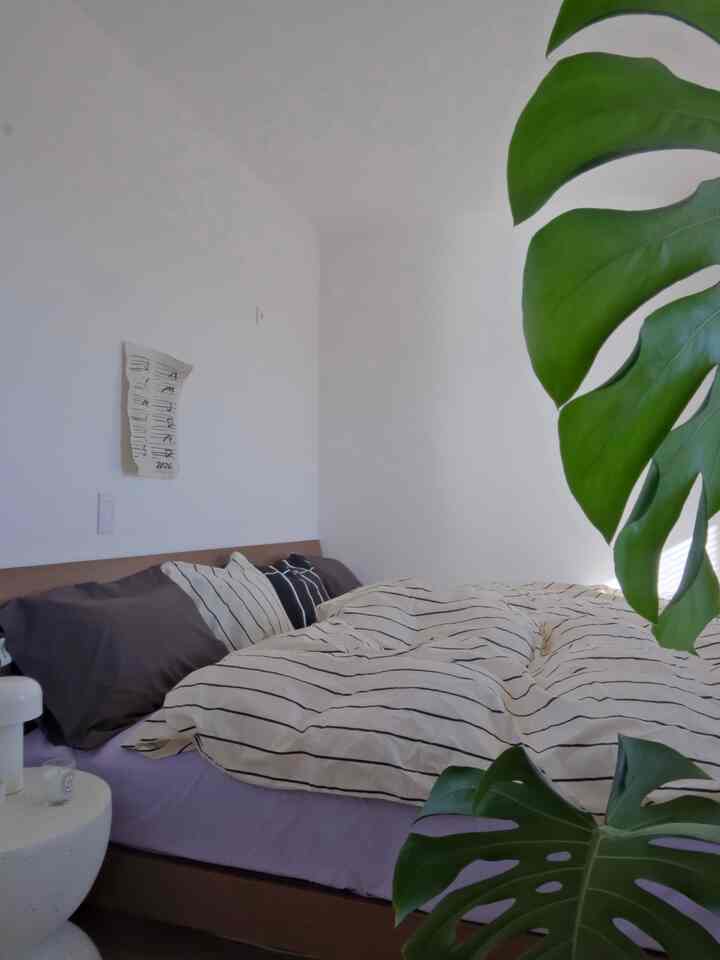 Bright white bedroom featuring a light brown wooden bed with striped duvet cover and pillows, natural modern style with indoor plant