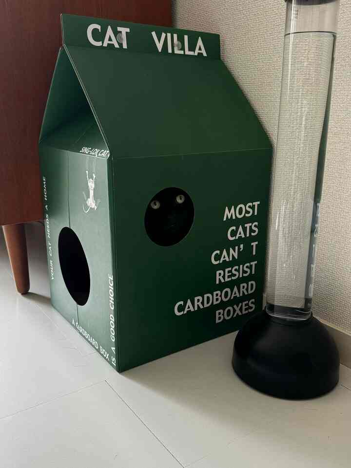 
Rautan kuku yang saya beli di Temu🐈‍⬛Senang sudah sering dipakai.
#TEMU #猫用品 #猫インテリア #爪研ぎ
