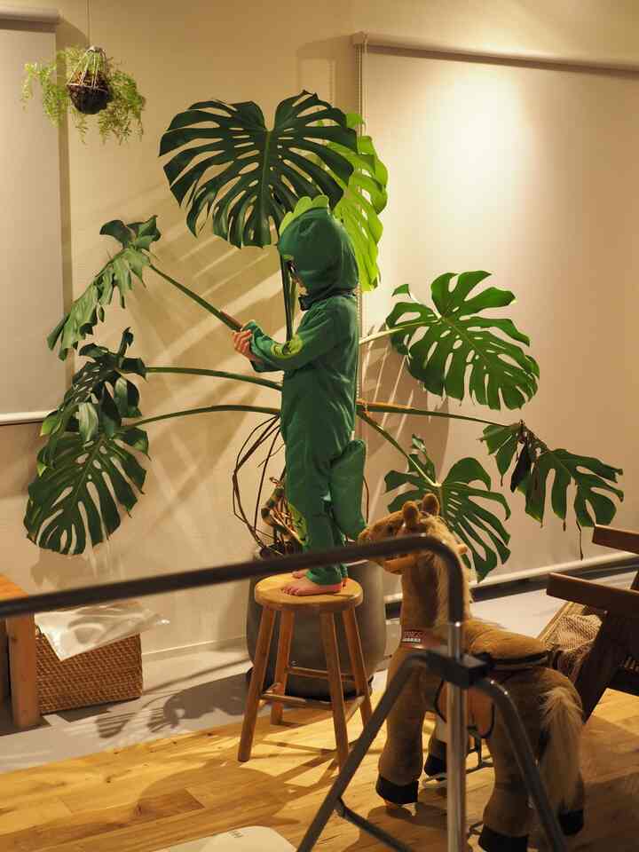 ナチュラルな木目調と緑の植物が配置された子供部屋、緑色の恐竜の衣装を着た子供が木製のスツールの上に立っている印象的な空間