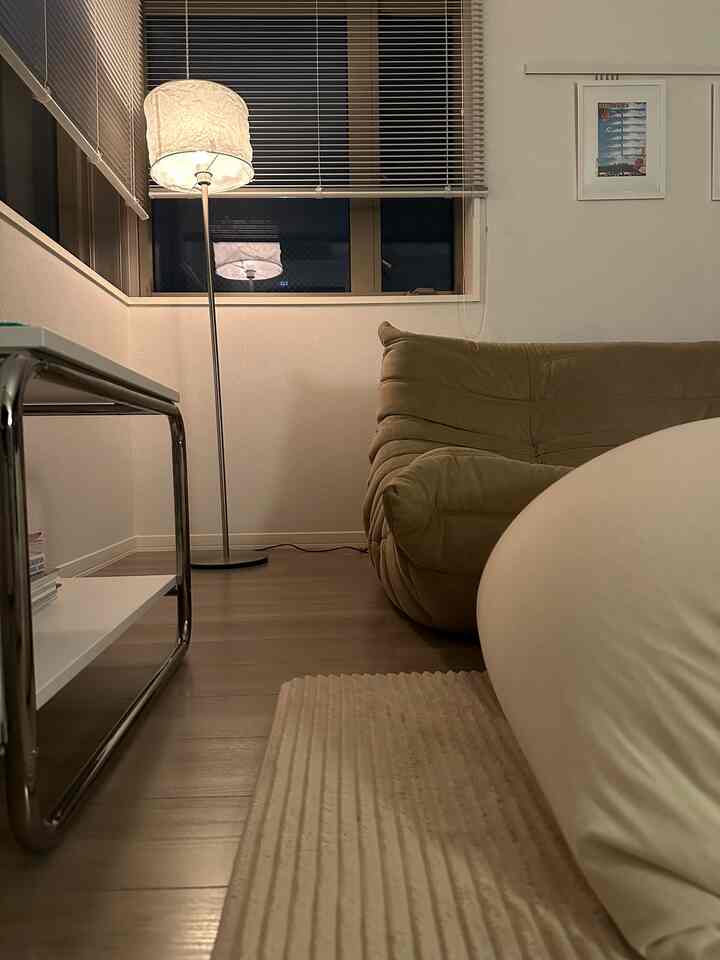 寝る前にちょっとリビングでリラックスタイム🦦🕯️

#ナイトルーム
#間接照明